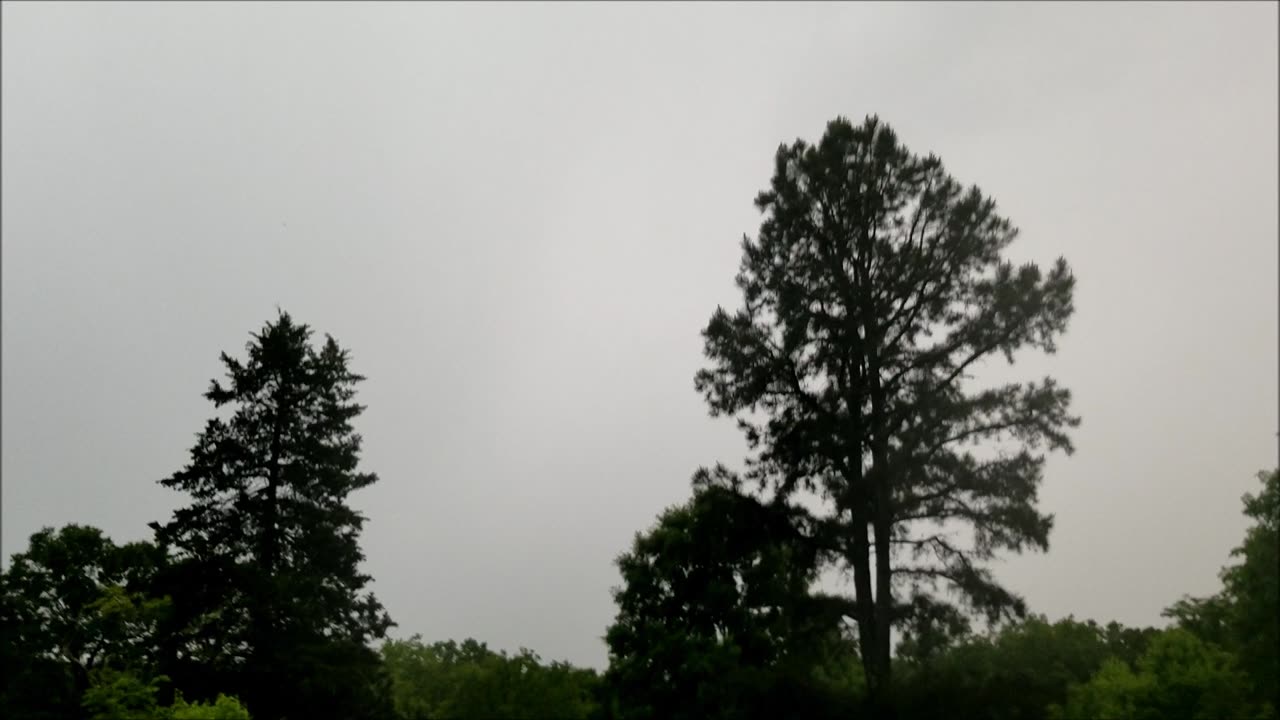 Lightning2