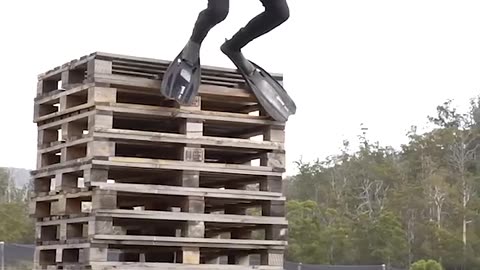 If animals did Parkour
