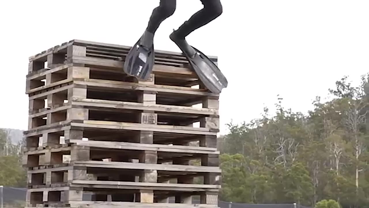 If animals did Parkour