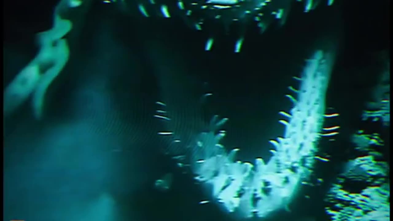 4 Scary Underwater Creatures 🫣🦈🫧