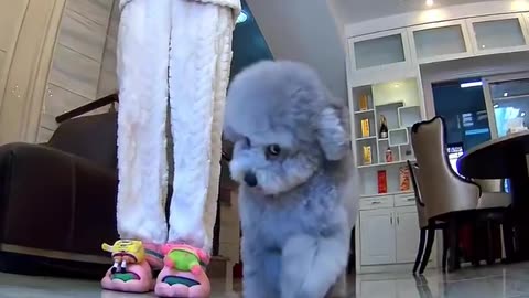 😂🤪 This Younger Brother Hates Being Filmed! | FunFM