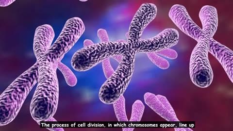 Bioelectricity