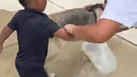 Dad catches son wetting dog then mom does this #shorts