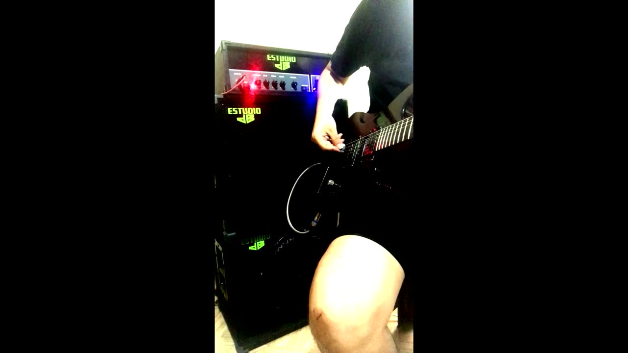 Guitar Amp Head ESTUDIO dB - 081 V