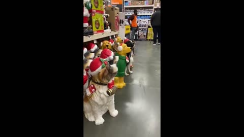 One of these things is not like the others