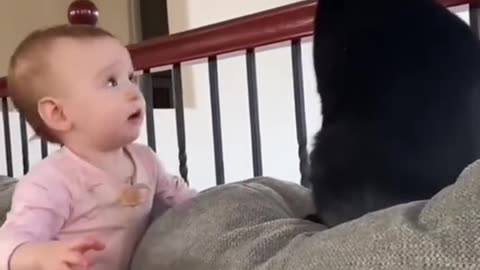 Baby's funny video