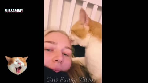 CUTE ANIMALS FUNNY moments-FUNNY ANIMALS club🐕FUNNY DOGS,CATS videos 2025🐾Funniest TRY Not To LAUGH