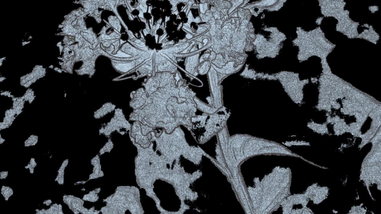 No One Expected You to Listen to This