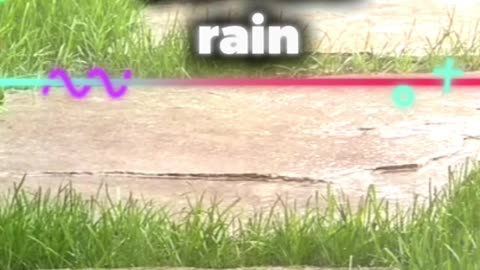 nice looking and nice grass and nice rain