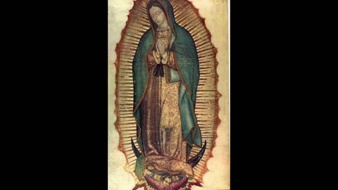 Our Lady of Guadalupe