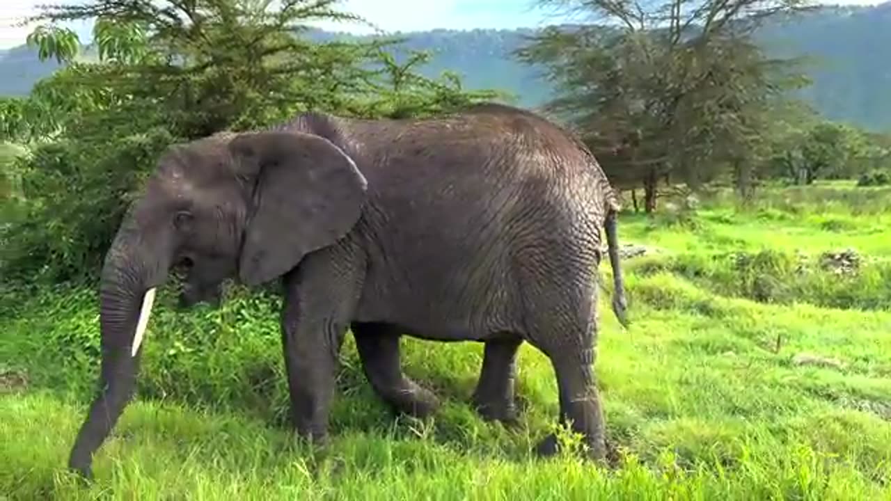 FULL HD VIDEO FULL 4K VIDEO 📸