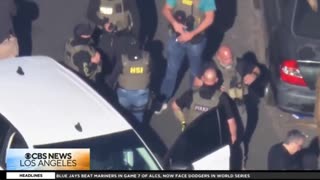 US Marshal and an illegal alien shot in Los Angeles ICE operation after federal agents