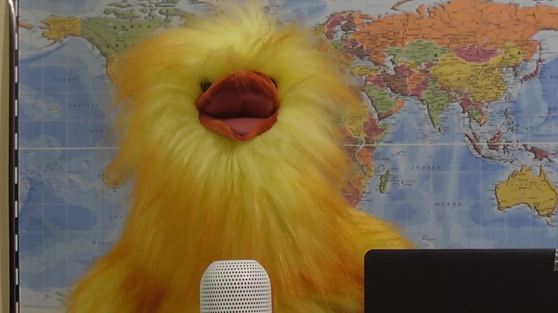 Henrietta drops bombshell on Mark Carneys climate activism..