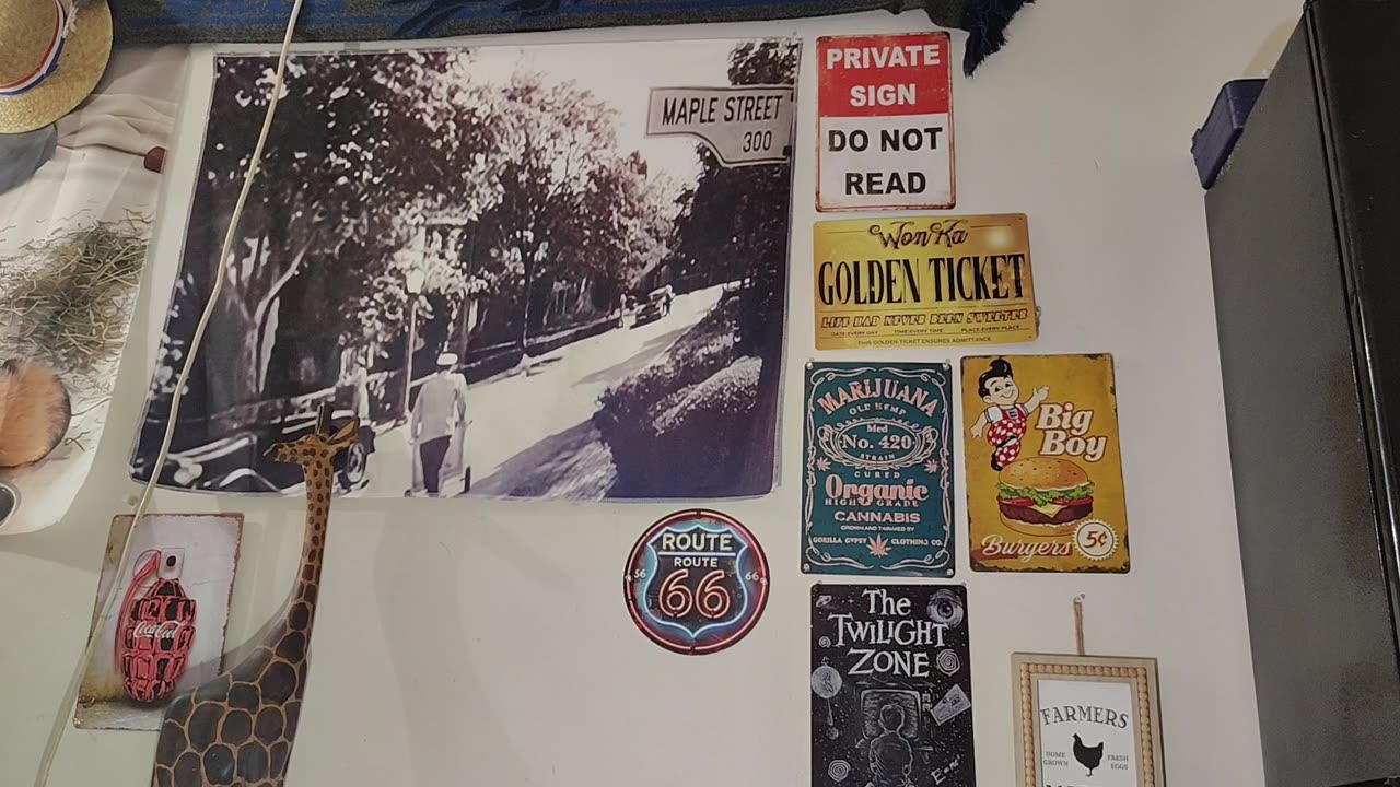 MY GIRAFFE IS JUDGING YOU