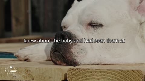 AITA for telling my cousin my other aunt knew about her baby?