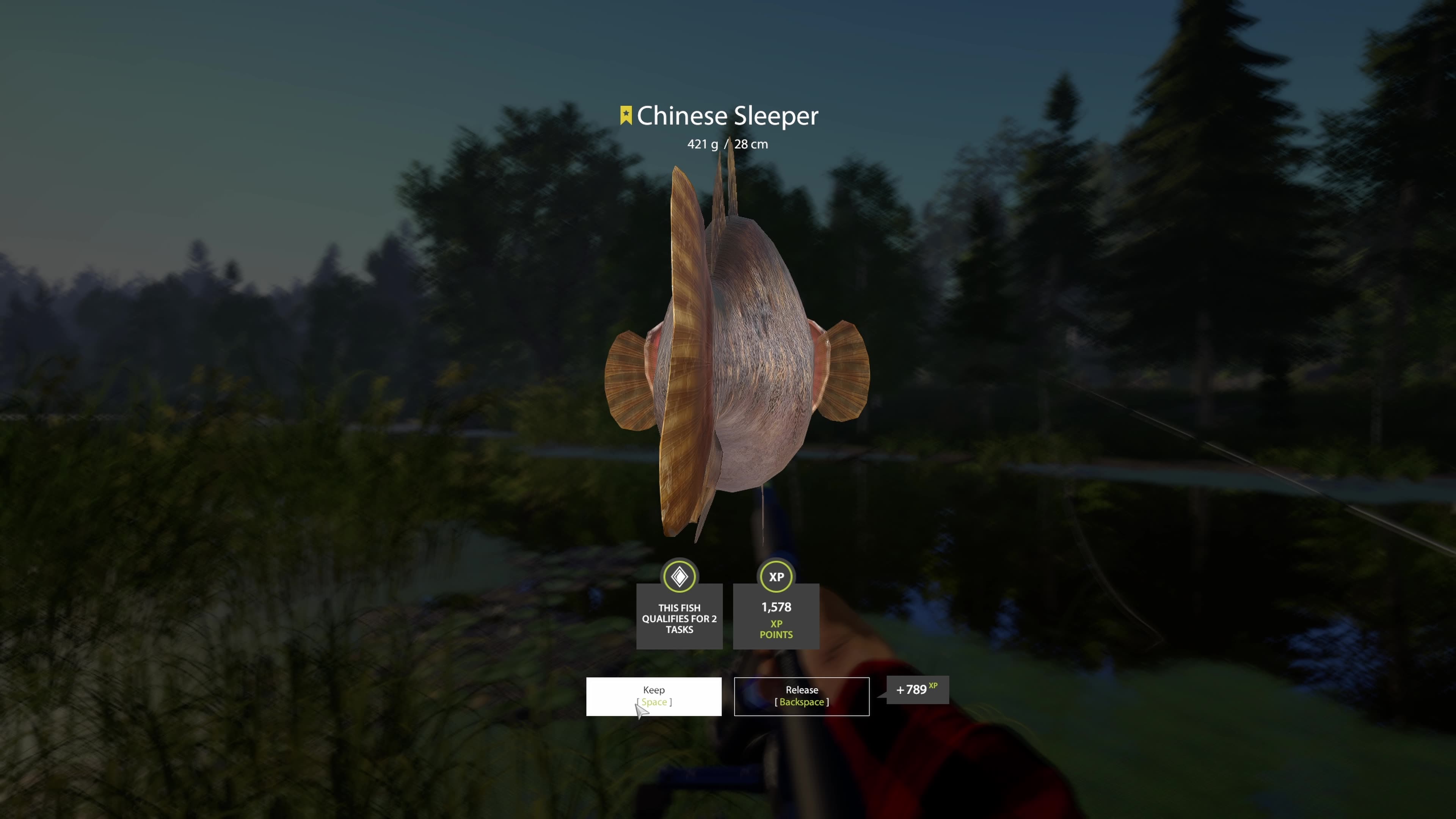 Trophy Chinese Sleeper 421g, bottom fishing, Old Burg Lake, Russian Fishing 4, PC game