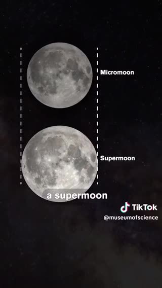 Pink Moon April 12 2025 Full Moon