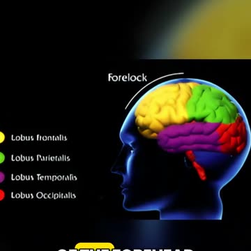 The Quran revealed the Forehead's role in decision-making above 1400 years ago