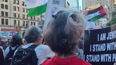 Sionista molesta a personas marchando en apoyo de Gaza, Palestina.