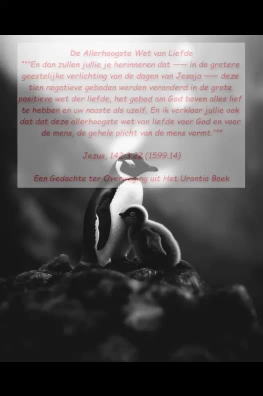 Allerhoogste wet van