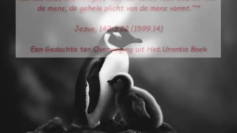 Allerhoogste wet van