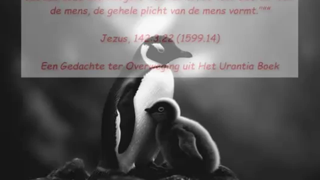Allerhoogste wet van