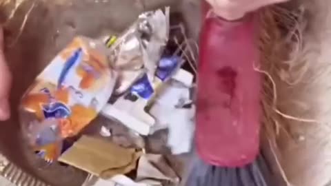 🧹🤣 That Last Bit of Dirt Won't Give Up! | FunFM