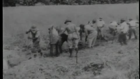 [STOCK NEWSREEL EXCERPTS] - [STOCK NEWSREEL EXCERPTS] - cbs-cbswwi-381