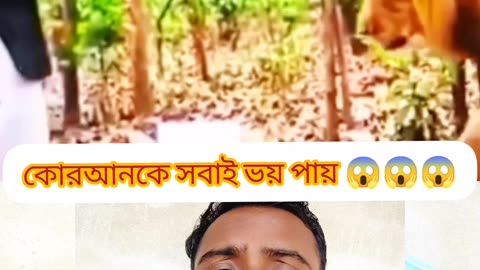 “Lion Shows Respect to the Holy Quran — Real Miracle!”