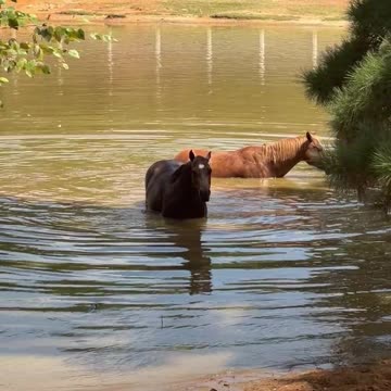 Does the water taste better out there?