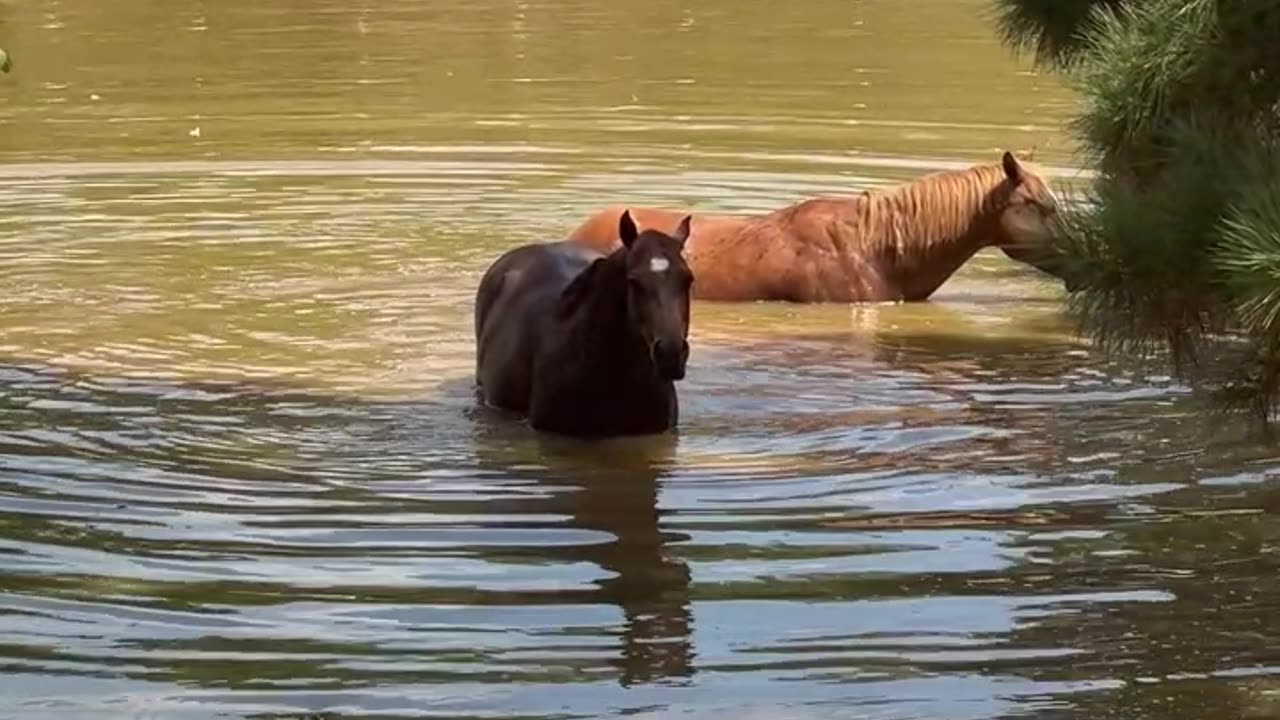 Does the water taste better out there?
