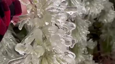 frozen world interesting things ❄️🧊