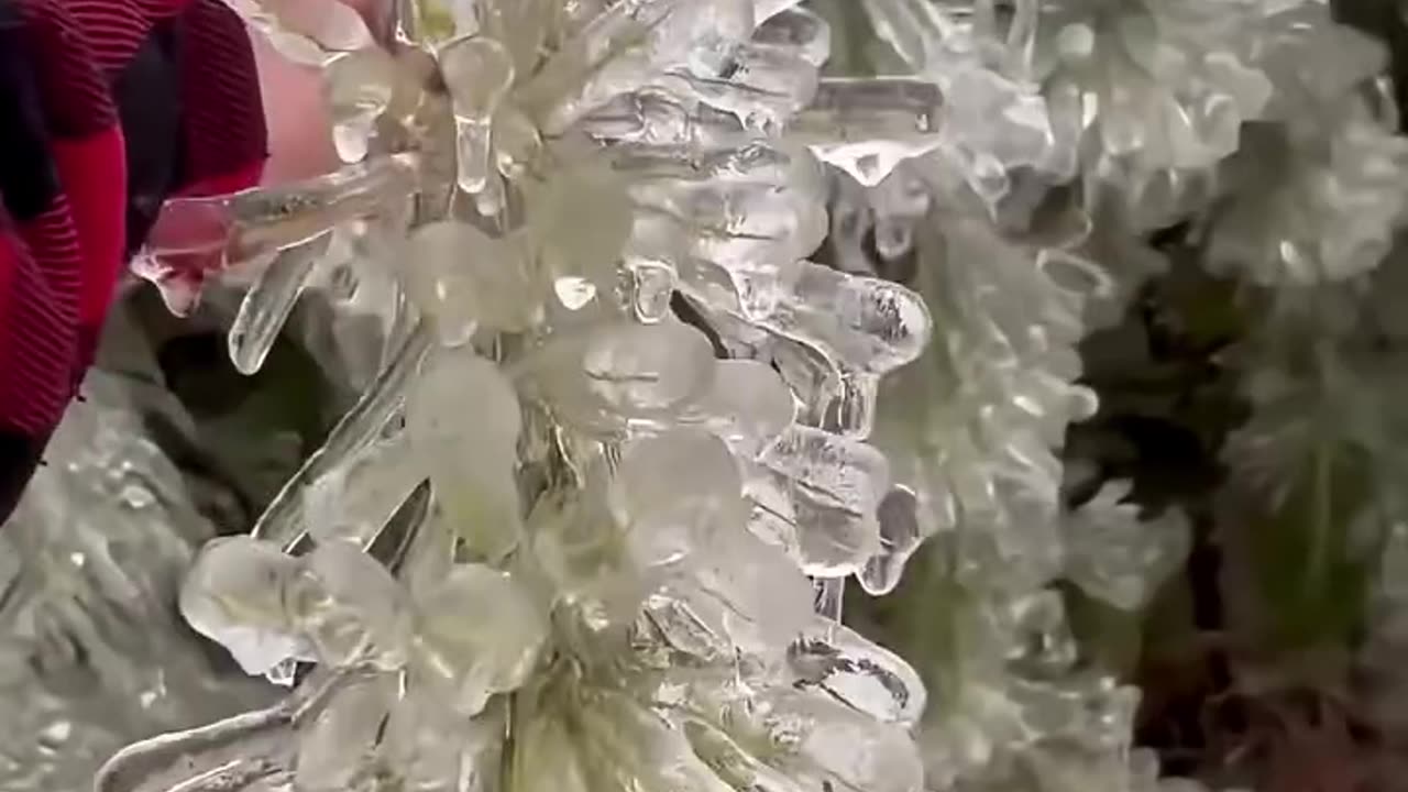 frozen world interesting things ❄️🧊
