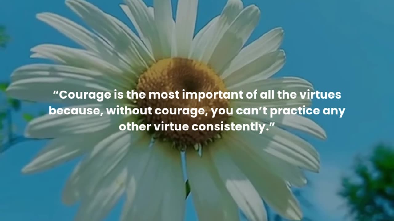 Courage is the most important of all the virtues because, without courage,...