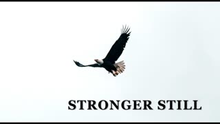 Pray USA, 8/28/2025 Stronger Still