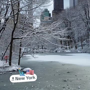 Snow New York City Manhattan America USA Central Park