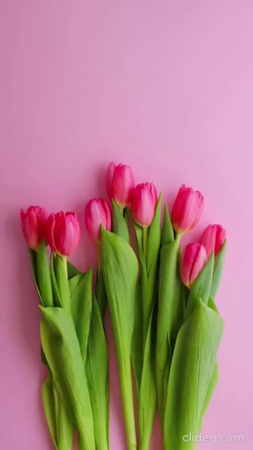 Descubra como transformar R$ 30,00 em dezenas 1.mp4