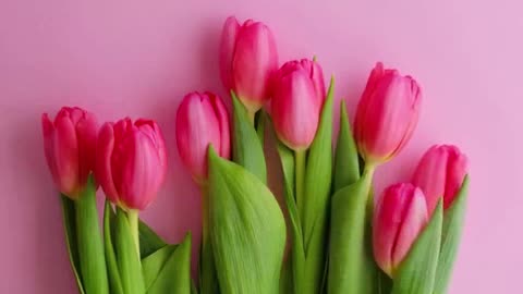 Descubra como transformar R$ 30,00 em dezenas 1.mp4