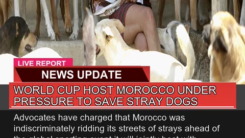 World Cup Host Morocco Under Pressure to Save Stra