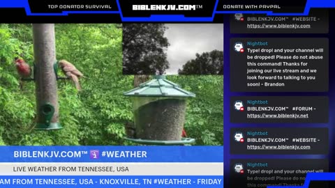 BIBLENKJV.COM™ 🛐 05/30/2025 #LIVE #WEATHER #TENNESSEE