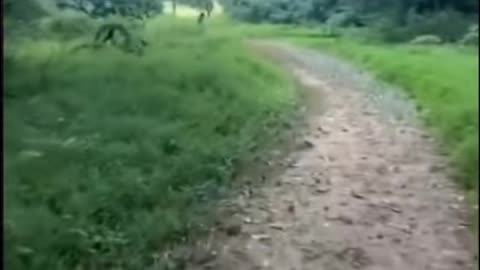 👻💥 The Scariest Ghost Sighting Ever Recorded! | TheHauntingHour