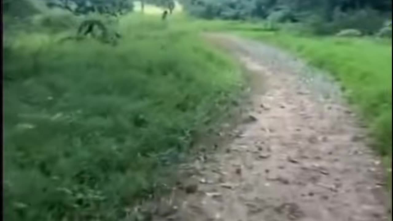 👻💥 The Scariest Ghost Sighting Ever Recorded! | TheHauntingHour