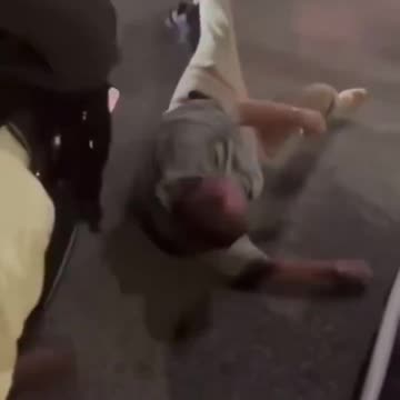 Gunther Eagleman™ - We really shouldn’t be forced to live like this.