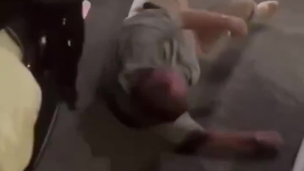 Gunther Eagleman™ - We really shouldn’t be forced to live like this.