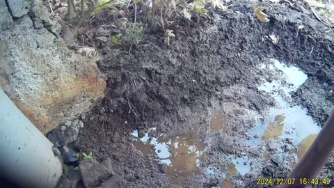 241207C___Madeira_NS-404,_view_on_the_road_to_garden,_improving_the_pond.(720p)