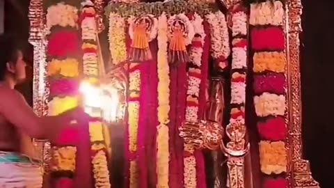 God Srinivas Govinda Perumal