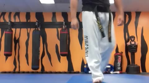 Tong Hap Kwan Hoshinsul/Hapkido & Chontu MuSul Kicking Techniques