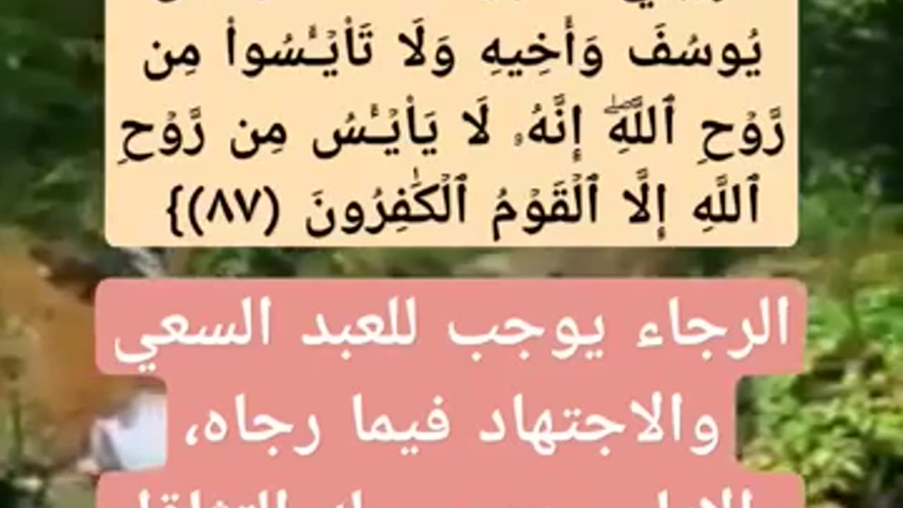 ما فائده حسن الظن بالله وعدم الياس من رحمته؟