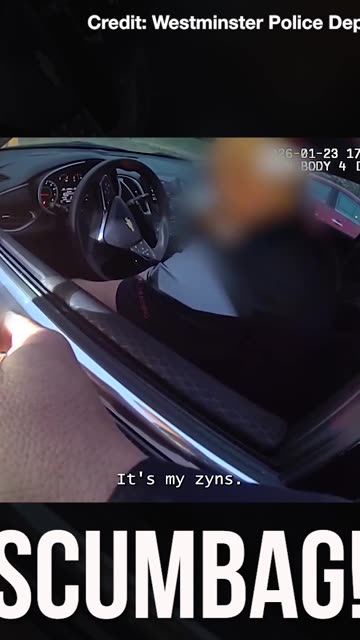 SCUMBAG! Man Arrested for Dangerous Driving & DUI with THREE CHILDREN in Trunk