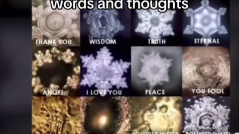 心臓はポンプではありません。生きたプラズマのポータルです